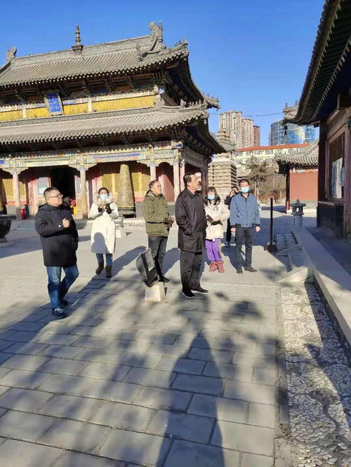 市文化旅游广电局一行检查五塔寺召庙文化博物馆垃圾分类工作情况