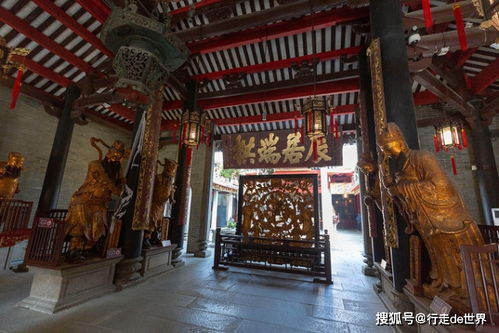 留在佛山过年,一次性走完五个区,这些必打卡的景点你都知道吗