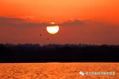 【美丽乡村】鄂尔多斯我的家·美丽乡镇入画来--沙漠中的绿洲乌审旗