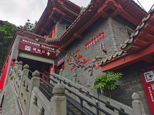 寒假不愁怎么玩儿,3条武当山红色旅游精品线路,带你边游边学