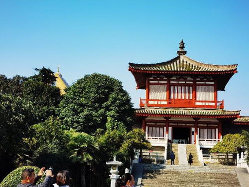 陕西旅游 5 一声霹雳响彻世界,一个发现震惊全球,法门寺 法门寺 释迦牟尼 寺庙 佛教 舍利 网易订阅