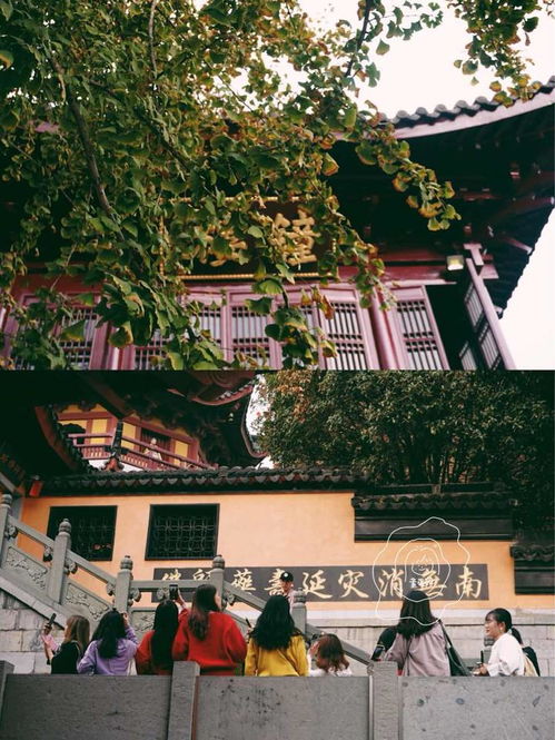 南京旅游之不得不逛的网红寺庙古鸡鸣寺