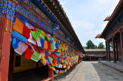 2020大召寺游玩攻略,大召不仅是一处佛教圣地,而.【去哪儿攻略】