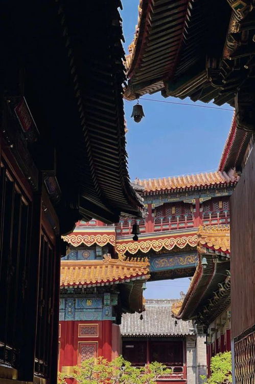 爆火 这届年轻人爱上寺庙旅游 哪些寺庙祈福超灵验
