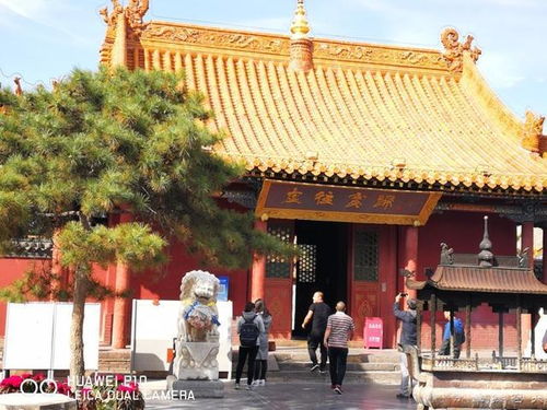 实拍 去呼和浩特,一定要去大召寺