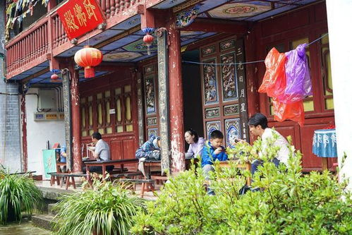 去云南旅游偶遇一座美丽的寺庙,满院鲜花和多肉,斋饭特别好吃