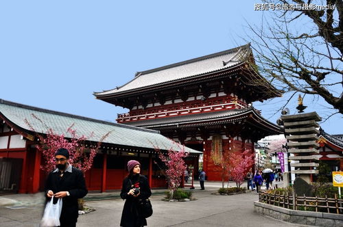 被称为日本旅游必去的寺庙 不仅是当地的金牌门面,求拜还超灵验