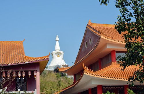 1058暑假亲子计划 摸鱼抓虾 清凉泼水 雪糕工厂 禅林寺欢乐一天自驾游