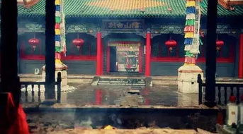 对不起 内蒙古向全国人民道歉...