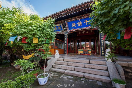 西宁市值得旅游的三座寺庙,全部免费开放,外地游客不多