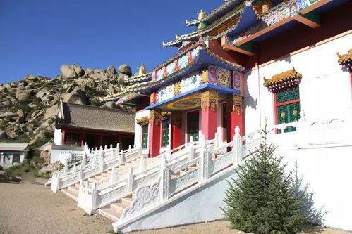别拦我,让我陶醉在包头这美丽的秋色中.....