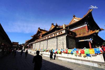 向左沙漠,向右草原,我从草原来