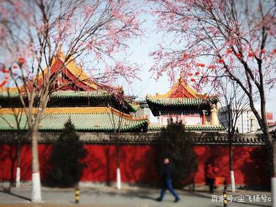 呼和浩特召庙 草原深处的信仰与文化瑰宝