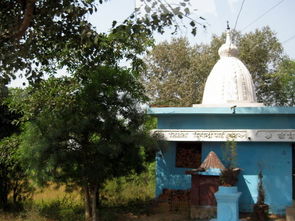 第二十九篇日记 探寻印度教庙宇文化——召庙之行