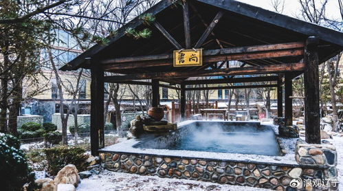 2023-2024沈阳现代化都市圈冬季营销推广活动盛大启幕，共赴冰雪召庙之旅